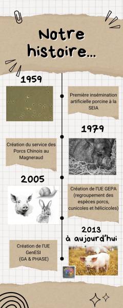 Frise chronologique